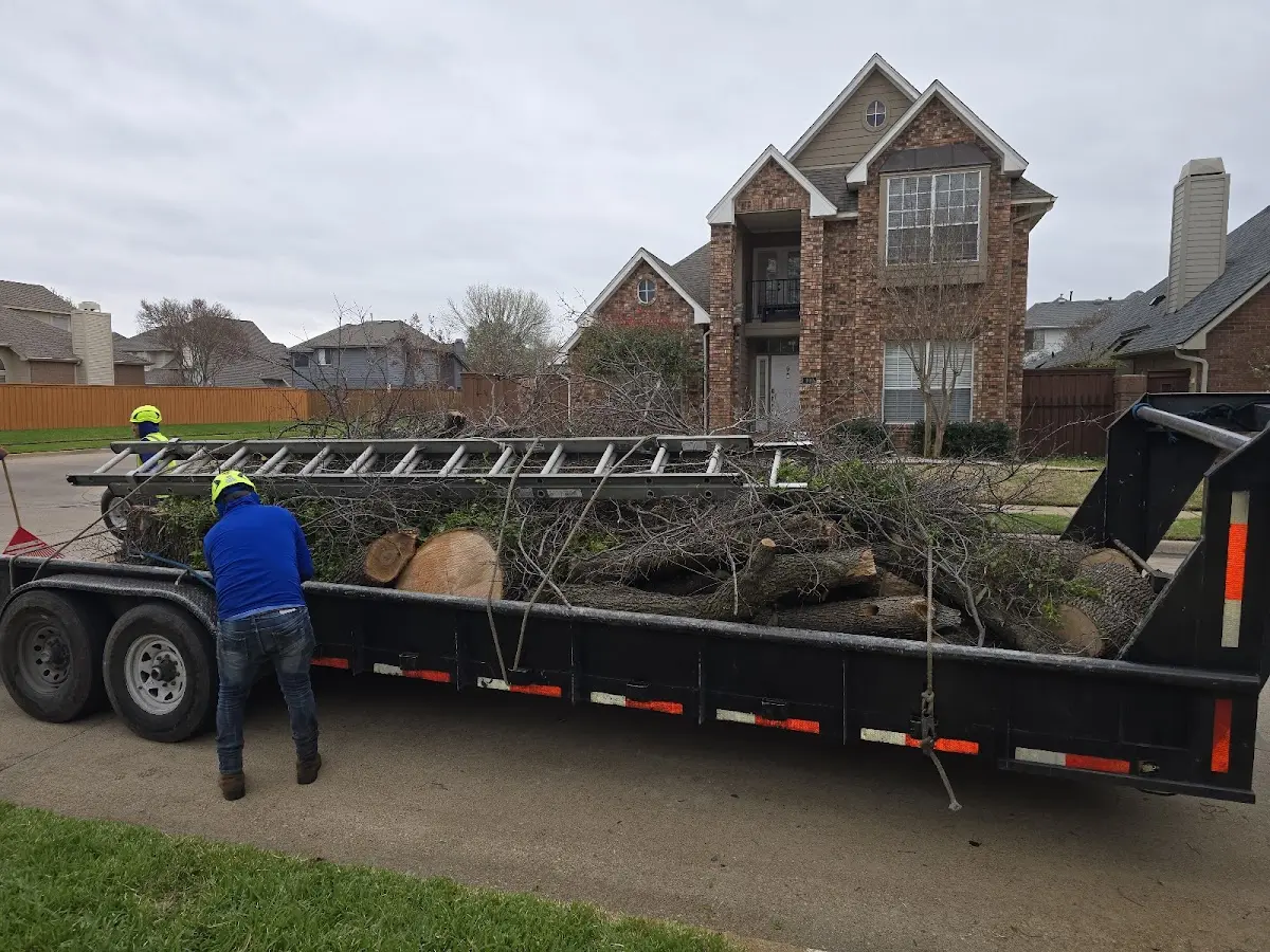 Expert Tree Fertilization with proper safety equipment in Denmark